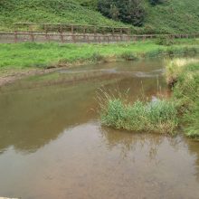 Watercourse at Saltburn following treatment