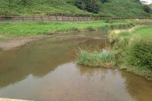Watercourse at Saltburn following treatment